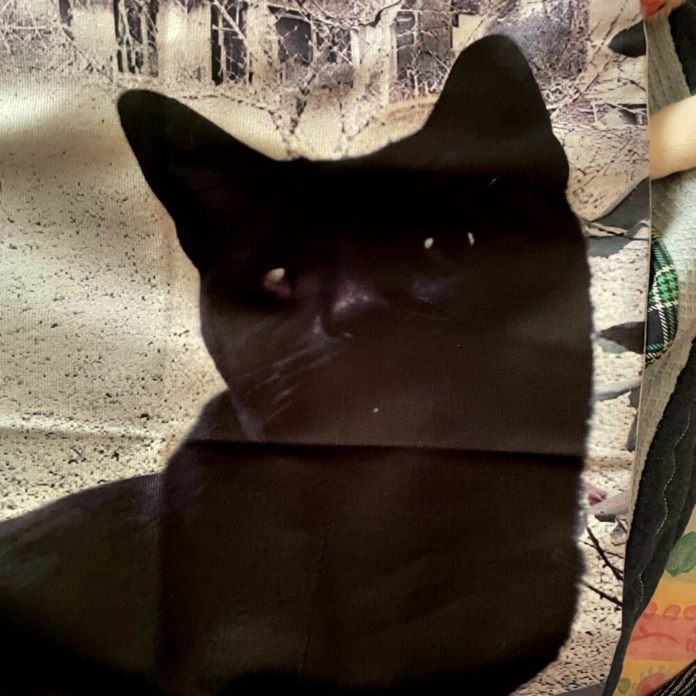 MUGSEY MALONE VOGUING PILLOW COVER